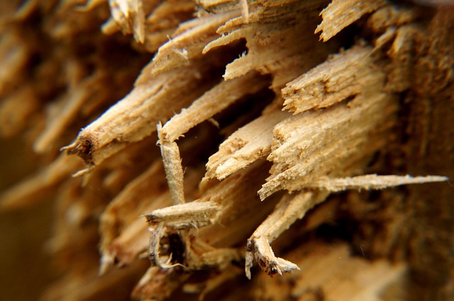 Rotting roof timbers caused by moisture trapped by spray foam installation